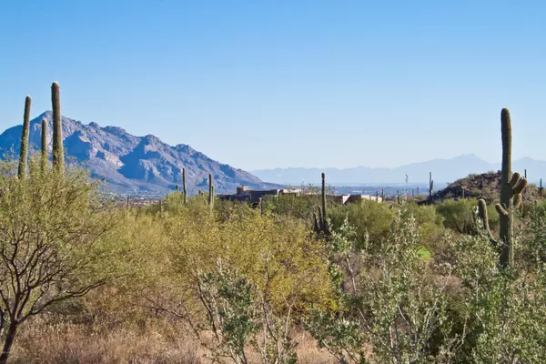 Oro Valley, AZ 85755,1133 W Tortolita Mountain Circle #176