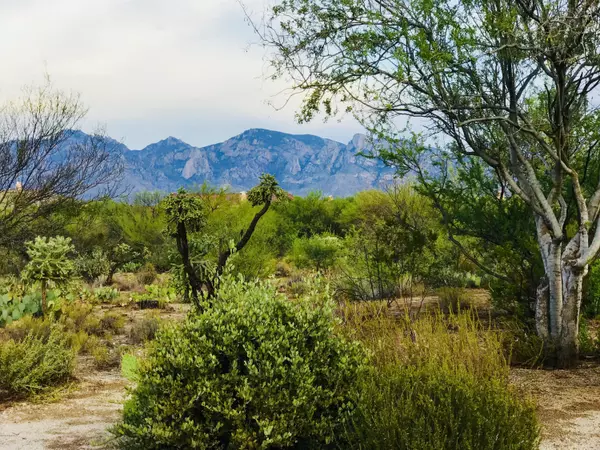 Oro Valley, AZ 85755,13712 N Old Forest Trail #92