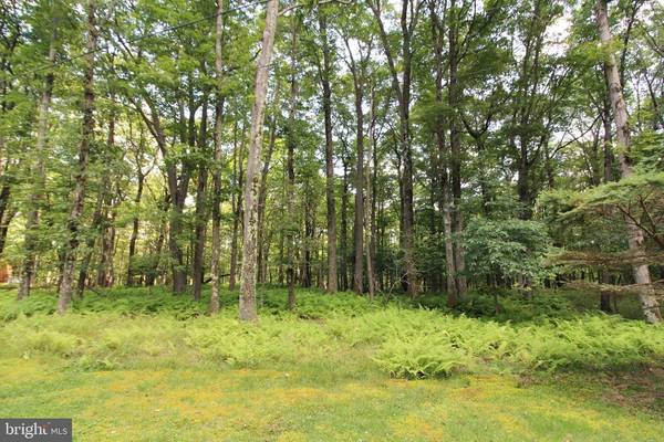 LOT 87 E ALPINE DR, Terra Alta, WV 26764