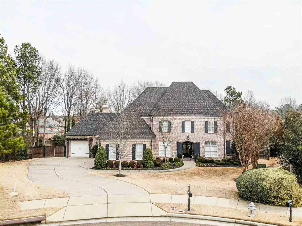 Collierville, TN 38017,10097 BUSHROD CV