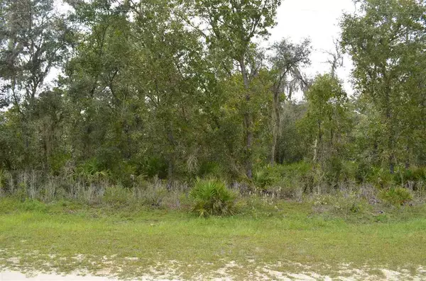 Perry, FL 32348,000 Bonita Boulevard