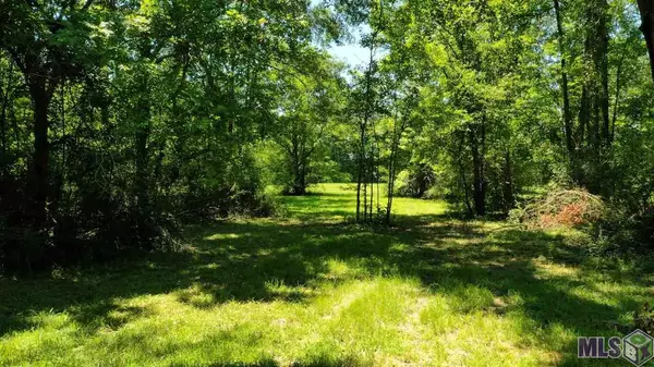 Denham Springs, LA 70706,Lot C-1 AMITE CHURCH RD