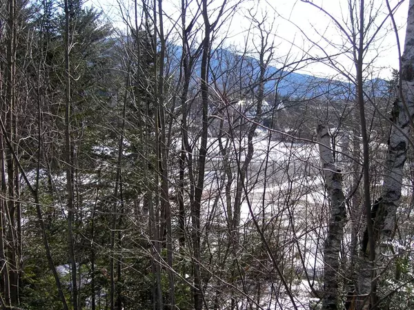 Waterville Valley, NH 03215,3 Drakes Brook RD