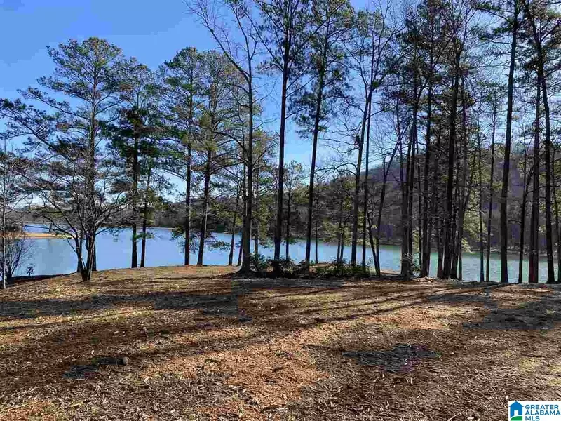 lot 15 A SAUNDERS BRIDGE RD #15 A, Sterrett, AL 35147