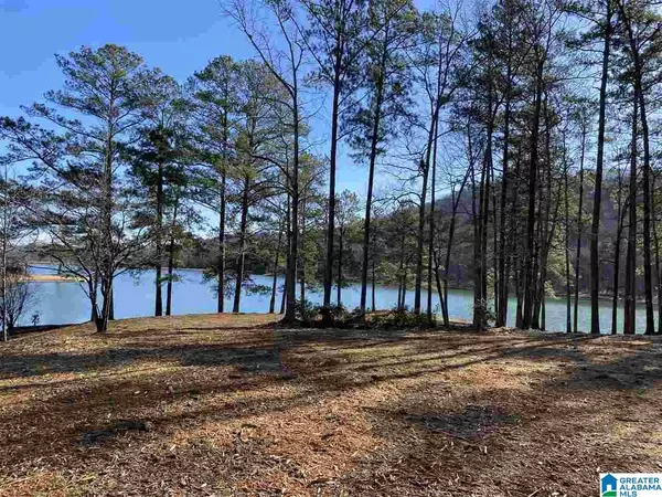 Sterrett, AL 35147,lot 15 A SAUNDERS BRIDGE RD #15 A