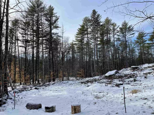 Freedom, NH 03836,Lot 12 Kidder DR ##12