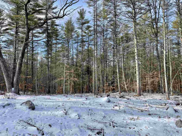 Freedom, NH 03836,Lot 12 Kidder DR ##12