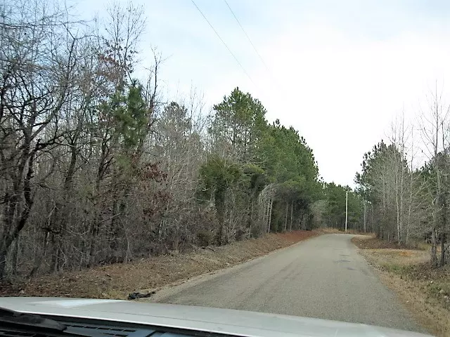 OLD REED SCHOOL HOUSE RD, Chewalla, TN 38393