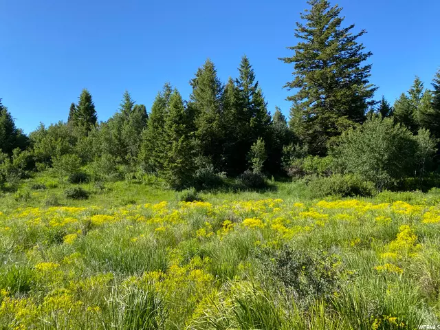 Lava Hot Springs, ID 83246