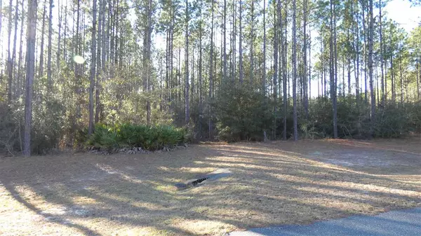 TBD Cutting Horse Court, Tallahassee, FL 32305