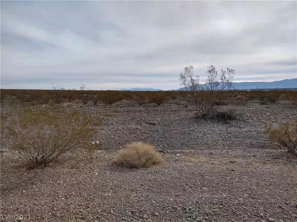 Pahrump, NV 89060,1361 Rockinghorse Drive