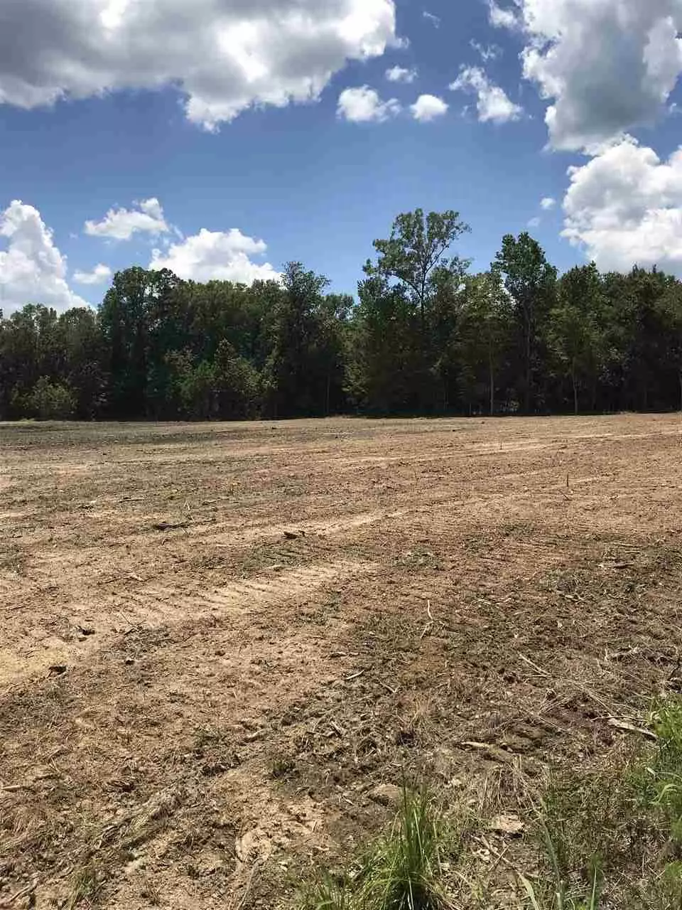 Baywood, LA 70722,Lot 1-A-2 LEE PRICE RD