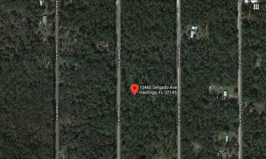 10460 Delgado, Hastings, FL 32145