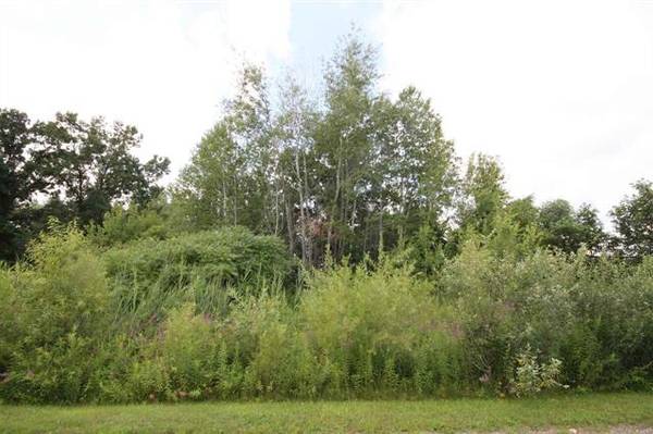 OLD SILO, Pleasant Lake, MI 49272