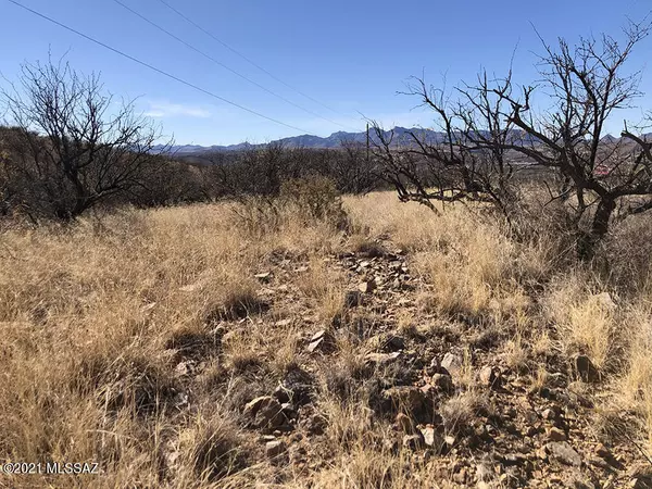 Rio Rico, AZ 85648,282 Circulo Cerro  #32