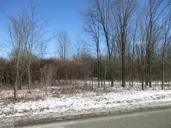 China Twp, MI 48054,VACANT STARVILLE