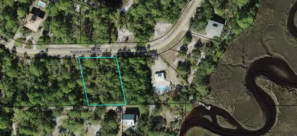 Panacea, FL 32346,Lot 48 Turtle Creek Lane