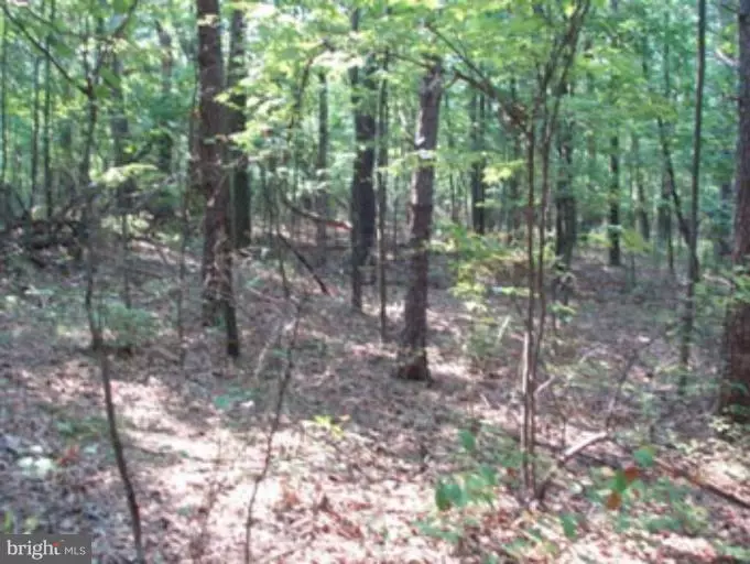 LOT 17 BUTTERNUT LN, Berkeley Springs, WV 25411