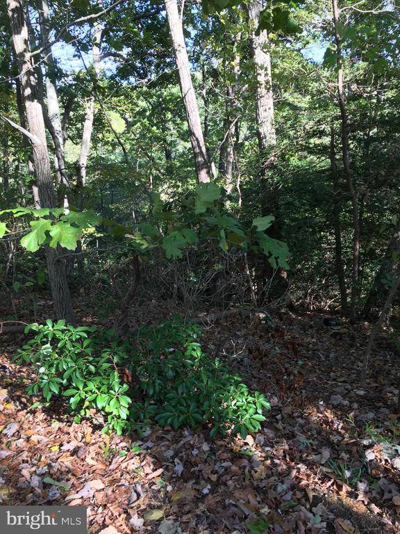 Landover, MD 20785,LOT 15 DEPUTY LN