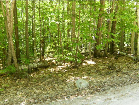 Lot #45 David DR, Wakefield, NH 03872