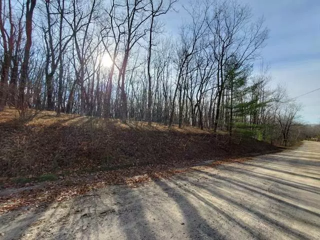 Lot 54 ELM RUN, Farwell, MI 48622