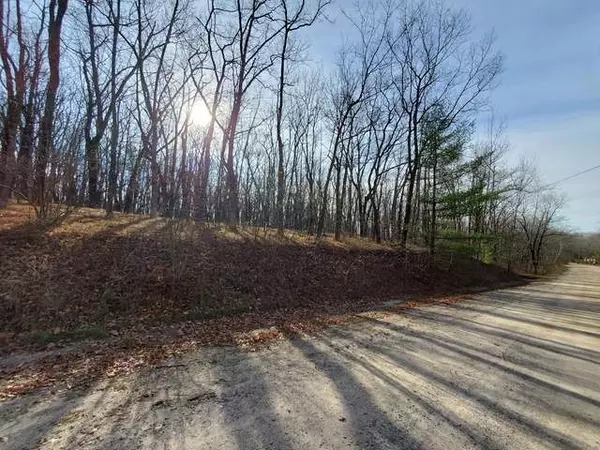 Farwell, MI 48622,Lot 54 ELM RUN