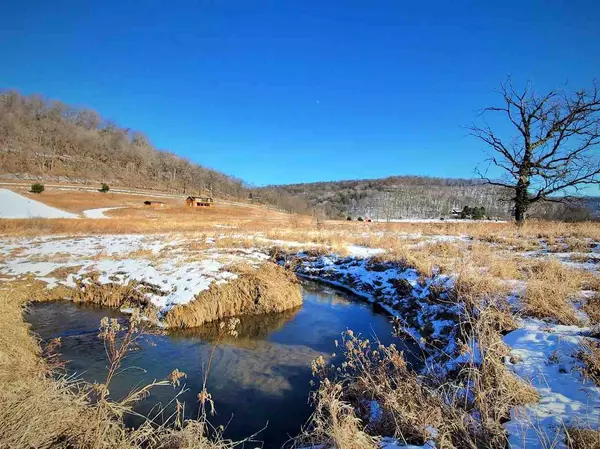 Gays Mills, WI 54631,L6 S Knapp Creek Ln