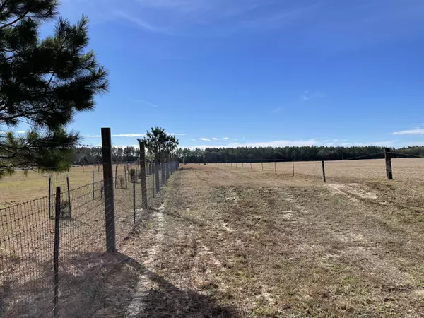 Laurel Hill, FL 32567,80 AC Hwy 2