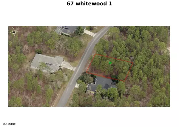 Homosassa, FL 34446,67 Whitewood ST