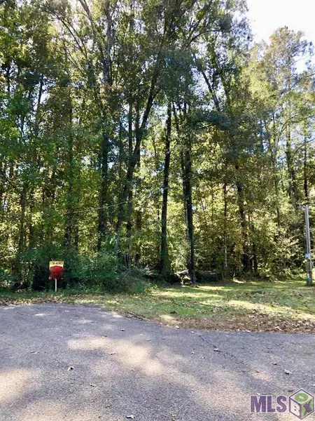 Lot 1-A-3 BEECHWOOD RD, Prairieville, LA 70769