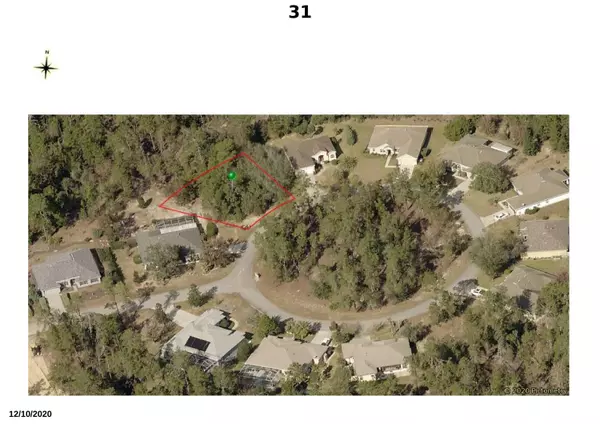 Homosassa, FL 34446,31 Candytuft CT