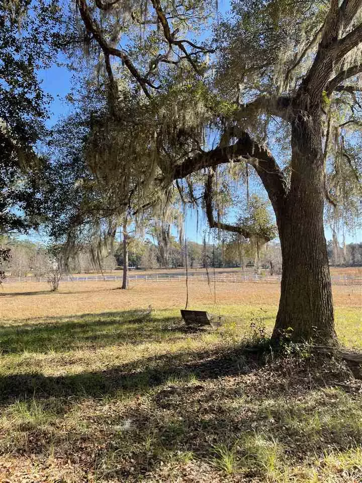 Tallahassee, FL 32309,White Blossom