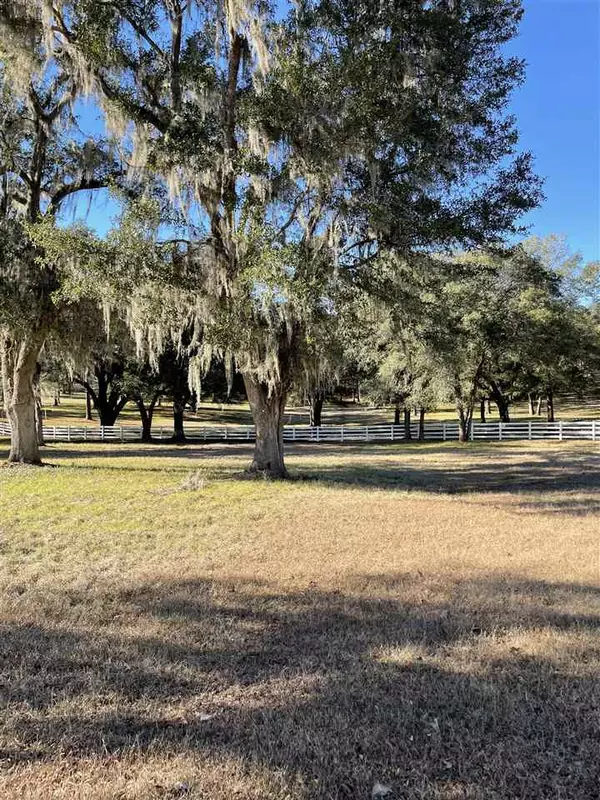 Tallahassee, FL 32309,White Blossom