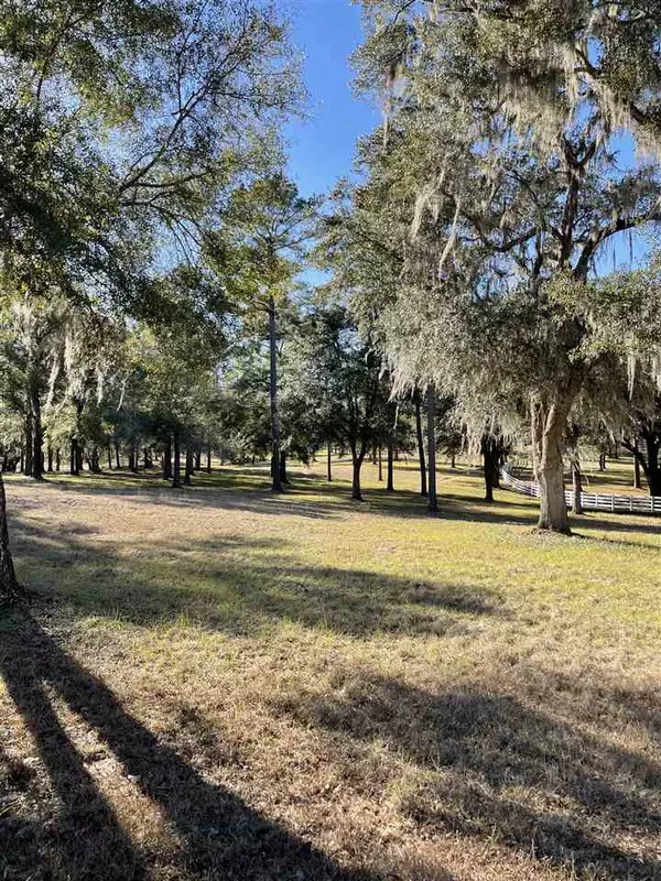 Tallahassee, FL 32309,White Blossom