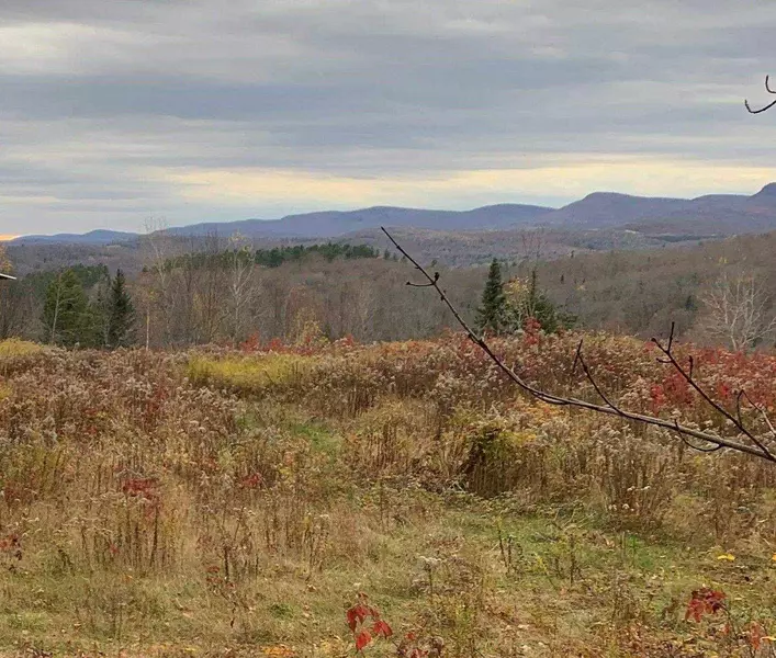 Off Sutton RD, Wheelock, VT 05851