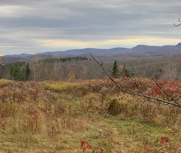 Wheelock, VT 05851,Off Sutton RD