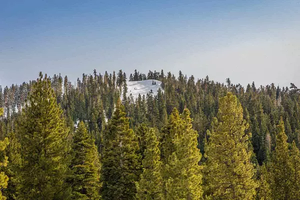 Truckee, CA 96161,9507 Cloudcroft Court