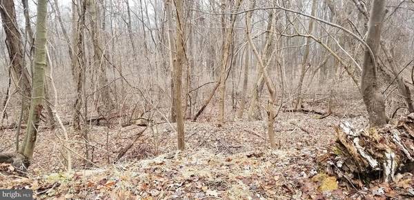 Millersburg, PA 17061,0 BERRY MOUNTAIN RD #LOT 6