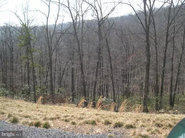 Hedgesville, WV 25427,31 MOUNDBUILDER LOOP