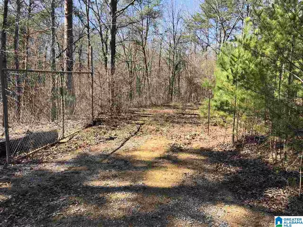 Morris, AL 35116,6274 NEW CASTLE ROAD #19 Acres