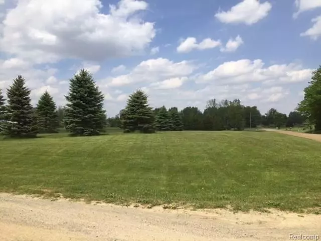 0 EVA (Lot 4) LN, Conway Twp, MI 48836