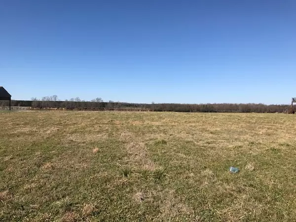 Savannah, TN 38372,LOT 42 DECLAN LN