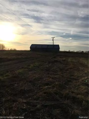 Conway Twp, MI 48836,VACANT LAND MARSH RD