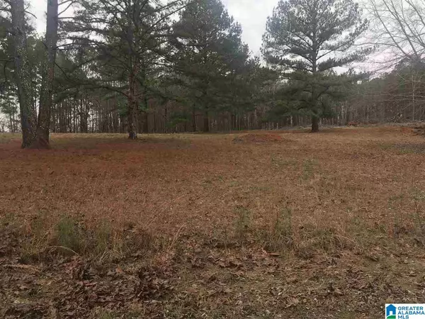 Dora, AL 35062,7442 TURNER ROAD #Lot 2