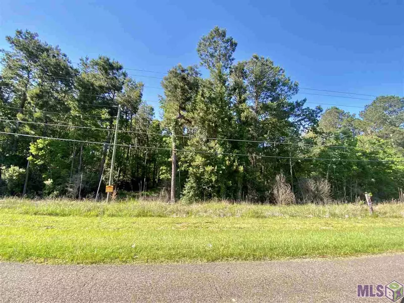 Lot B-1 JAMES CHAPEL RD, Holden, LA 70744