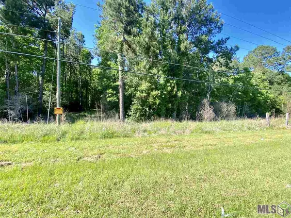 Holden, LA 70744,Lot B-1 JAMES CHAPEL RD