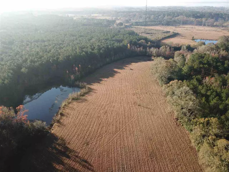 Lots 1 & 2 LA HWY 10, Clinton, LA 70722