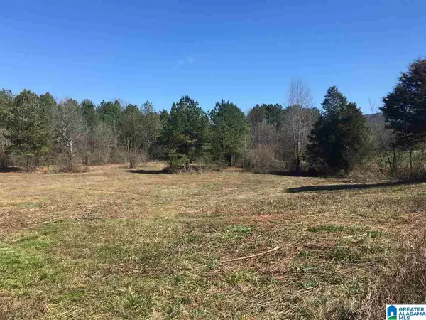 Attalla, AL 35954,0 DUCK SPRINGS ROAD #2 parcels