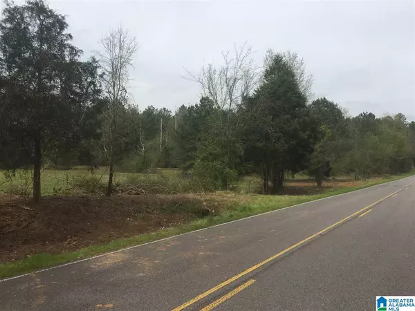 Attalla, AL 35954,0 DUCK SPRINGS ROAD #2 parcels