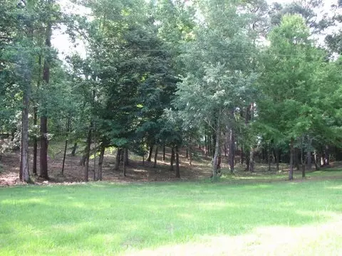 Cherokee, AL 35616,LOT 27 BUCHANAN PENINSULA DR